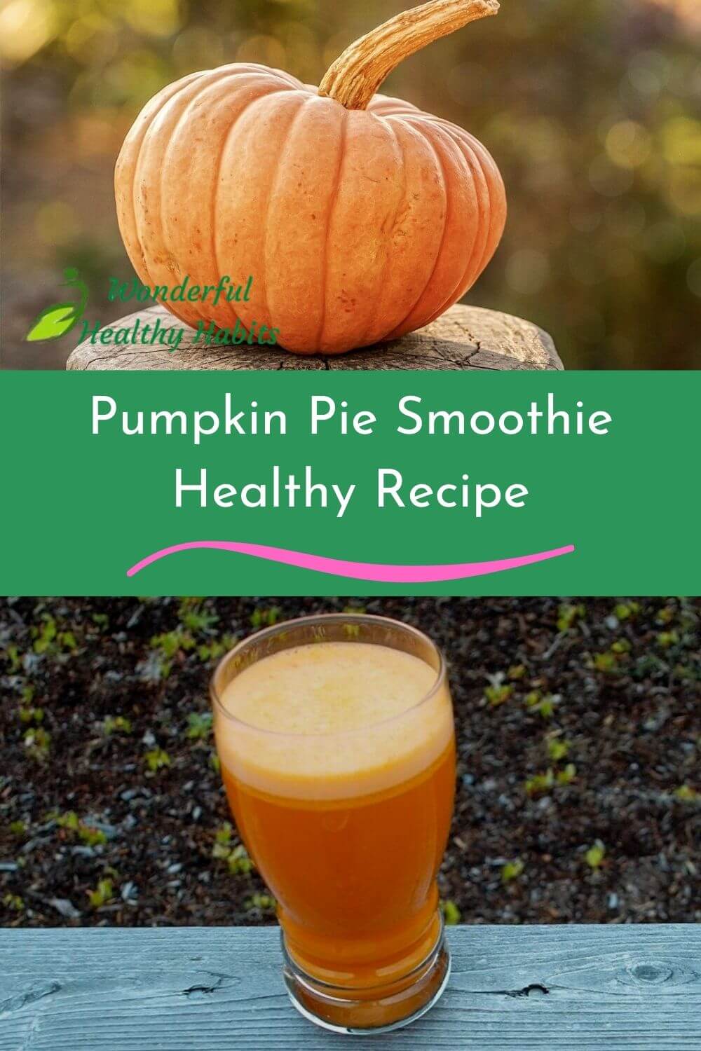Pumpkin Pie Smoothie Healthy Recipe