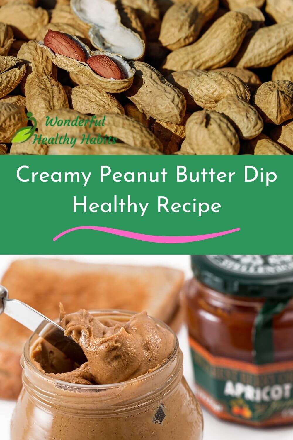Creamy Peanut Butter Dip Healthy Recipe